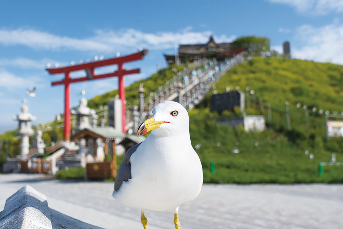 蕪島