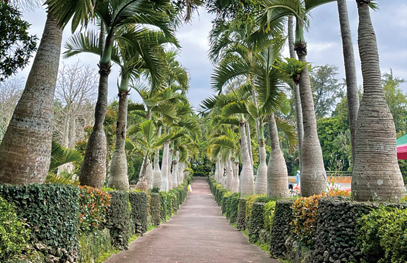 東南植物楽園